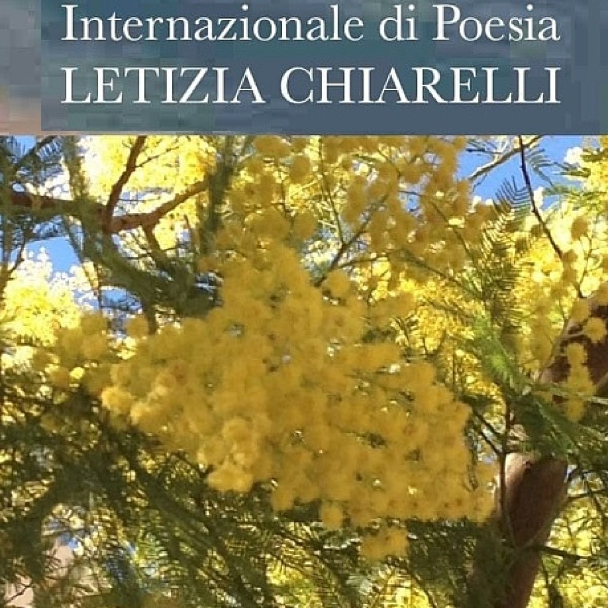 Concorso Internazionale di poesia Letizia Chiarelli